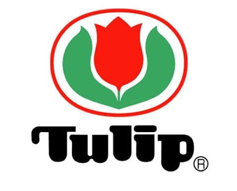 Tulip amicolle